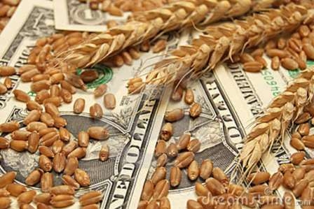 The fall in world markets lowers the price of wheat