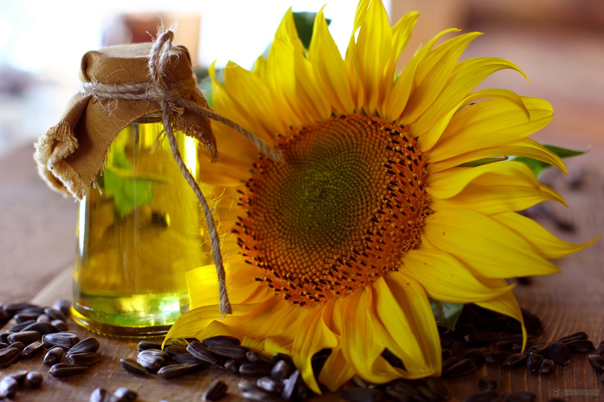 The price of sunflower oil, falling behind the market of palm oil