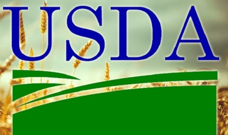 The USDA increased the forecast of offer of wheat to record levels