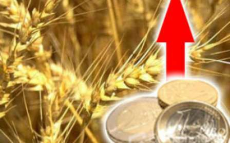 Continues the speculative rise in world prices for wheat