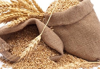 Рекордный экспорт поддержал цену американской пшеницы