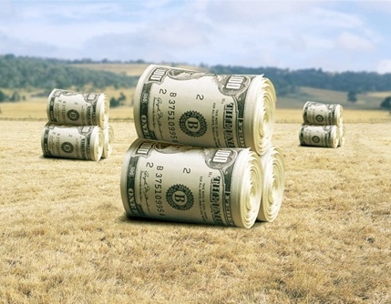 Правительство США выделяет 16 млрд долларов на помощь фермерам