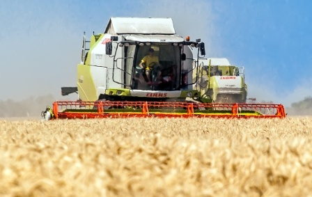 The grain harvest in Ukraine and Russia continues