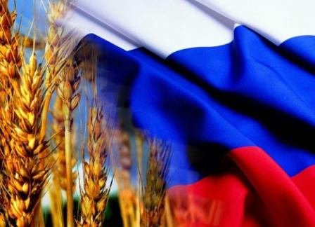 Россия установила новый рекорд по экспорту зерна