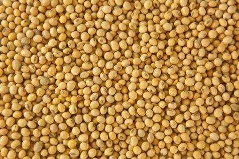 Reduces Oil World forecast of soybean production in the United States