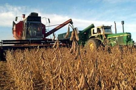 The rate of harvest of soybeans and corn in the U.S. behind last year and support prices
