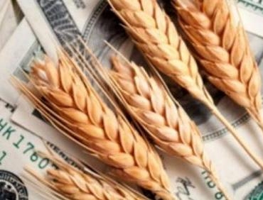 The stock price of wheat fell through speculation