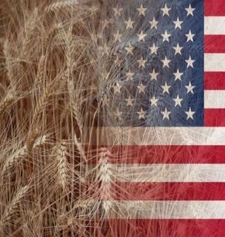Профицит баланса по сельхозпродукции США может вырасти на 50%