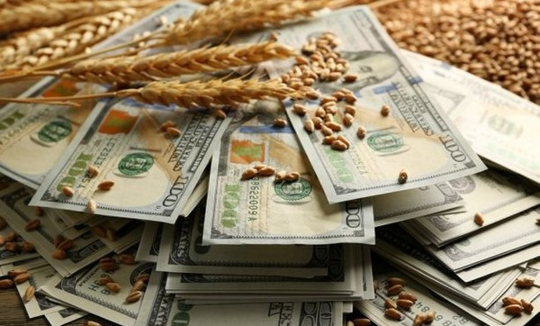 The fall in wheat prices on the stock exchanges continues