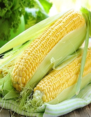 Активный спрос поддерживает цены на кукурузу в Украине