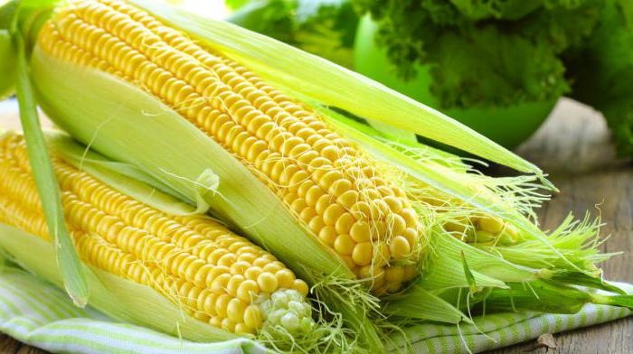 On the eve of the release of the USDA report, the price of maize increased by 4%