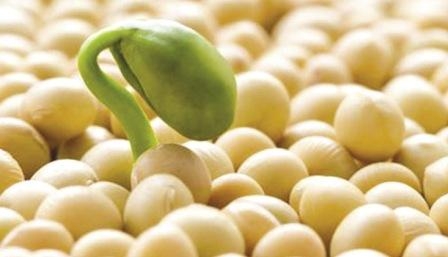 The price of soybeans go up because of reduced production in Argentina