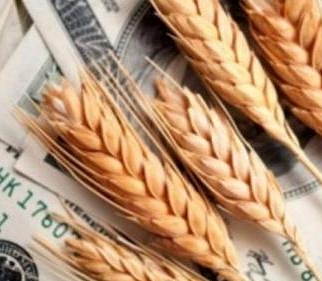 The stock price of wheat grow with the support of the physical market