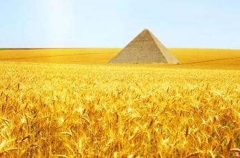 Egyptian innovations even more have fallen off the wheat markets