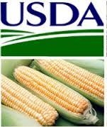 USDA increased the forecast of production and consumption of corn