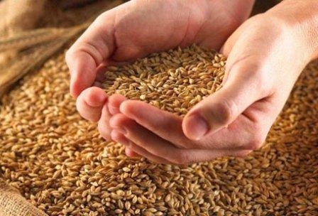 Poor quality of black sea wheat support prices in world markets