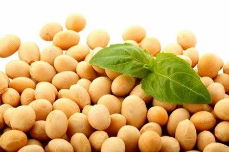 In Ukraine there is a shortage  offers of soybeans