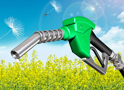 Ограничения ЕС по использованию биотоплива давят на цены на рапс