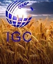 IGC ожидает рекордный урожай зерна в 2020/21 МГ