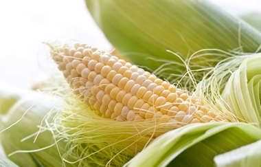 Цена на кукурузу снова растет