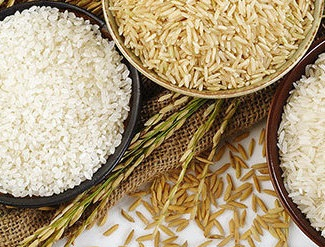 World rice prices rose sharply