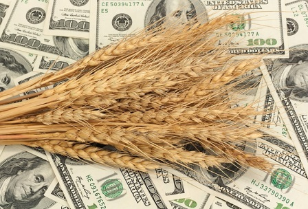 Global wheat prices are falling