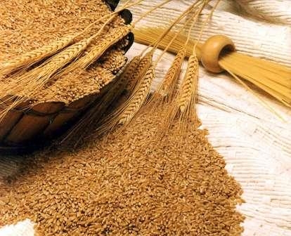 World wheat prices continue to fall