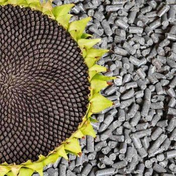 The European Union is increasing imports of sunflower and rapeseed meal from the Russian Federation and Belarus