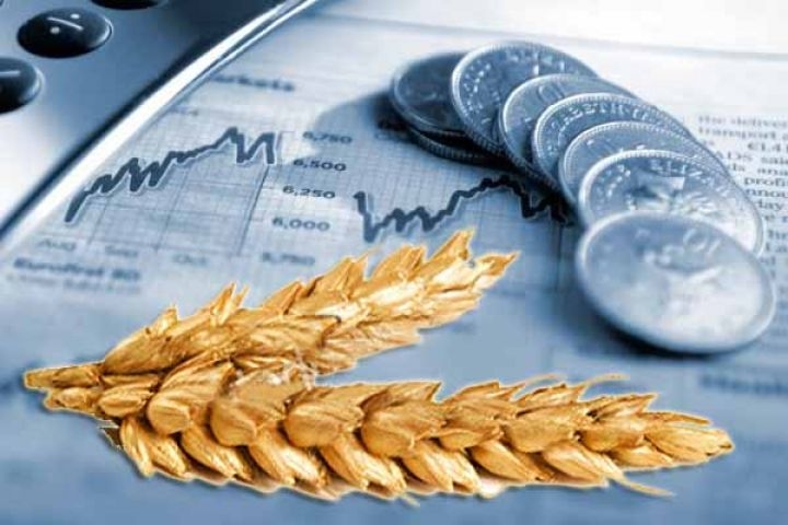 After a prolonged fall on wheat exchanges there was a speculative price adjustment