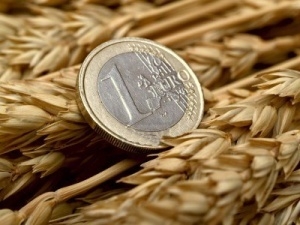 Европейская пшеница продолжает давить на Чикаго