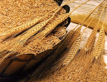 The oversupply of wheat in the world allows importers to lower the price 