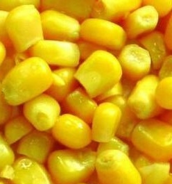 Corn prices in Ukraine can support the increased demand from China