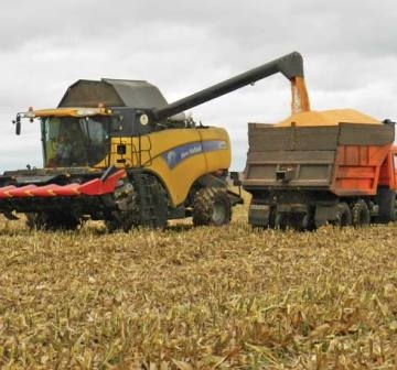 Ukraine increased agricultural production by 8%