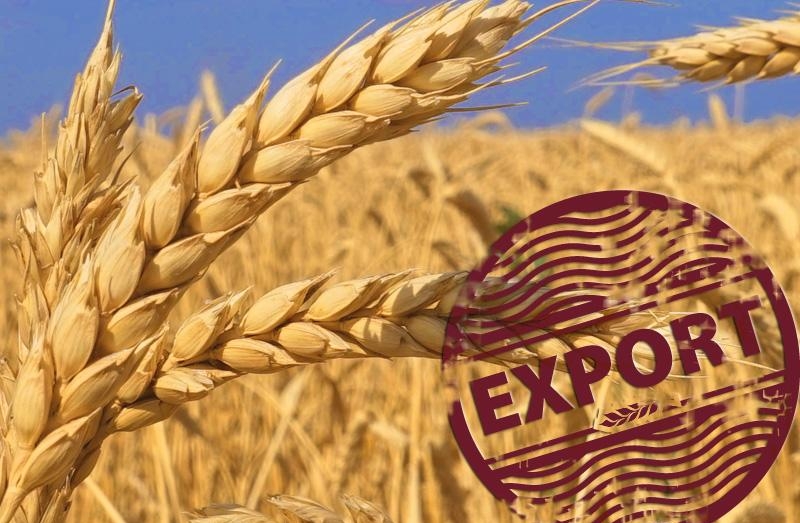 Експорт зерна з України у січні перевищив відповідний торішній показник