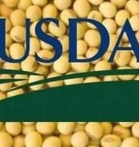 USDA reduced the forecast of soybean production at 1.6 million tonnes