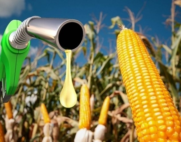 Oil prices resumed growth, which supported corn prices