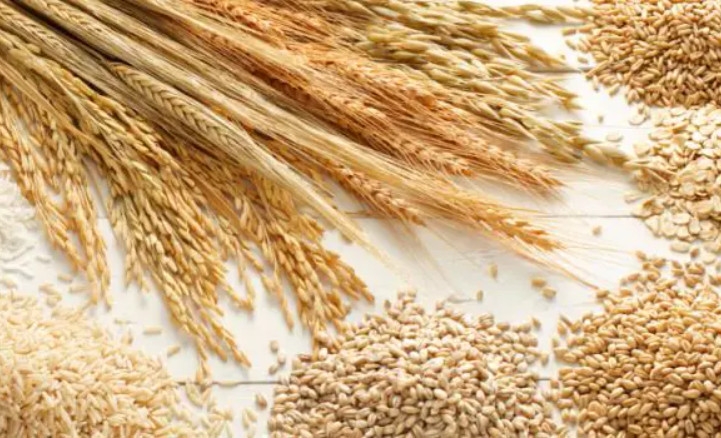 USDA снова, как и в декабрьском отчете увеличил прогноз мирового производства запасов и снизил потребления пшеницы