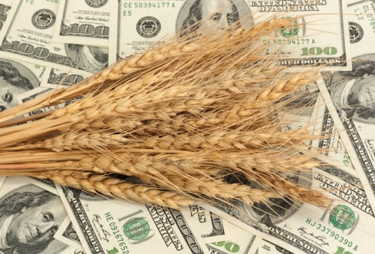 Международные цены на зерно