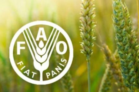 In March, the FAO food price index decreased