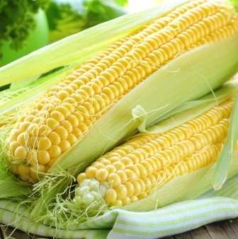 Покупка Турцией 342 тыс т кукурузы поддержит цены на причерноморское зерно