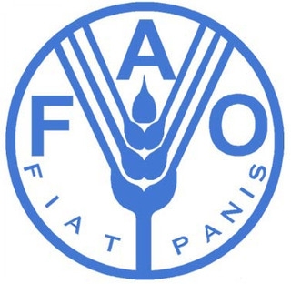 FAO index of food prices in June rose the most over the last four years