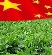 The reduction in the consumption of soybeans in China puts pressure on prices