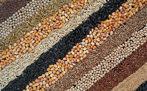 Prices for new crop grains fell significantly
