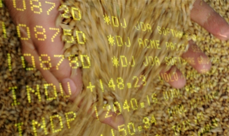 Цены на пшеницу растут из-за подорожания российского зерна