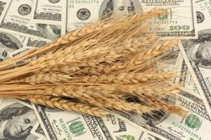 Wheat in the United States reacted to the USDA report