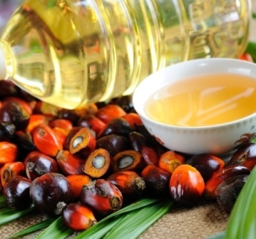 Falling prices for palm oil presses on the market of sunflower oil