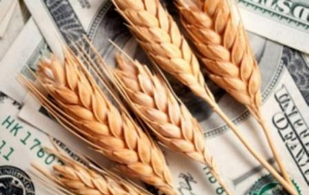Wheat markets awaited the release of the USDA report