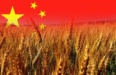 Китай скоротить імпорт зернових в новому сезоні