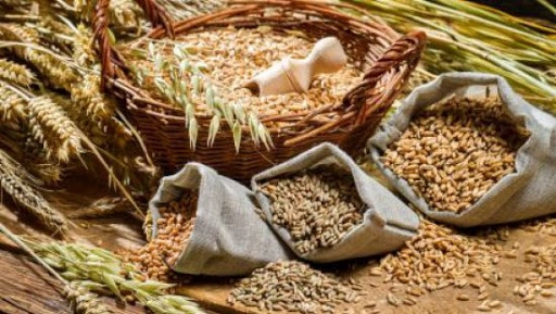 В Україні обвалилися експортні ціни на зерно слідом за біржовими котируваннями