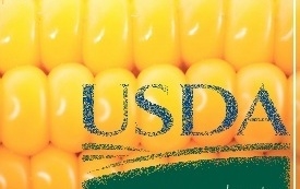 USDA reduced the forecast production and ending stocks for corn